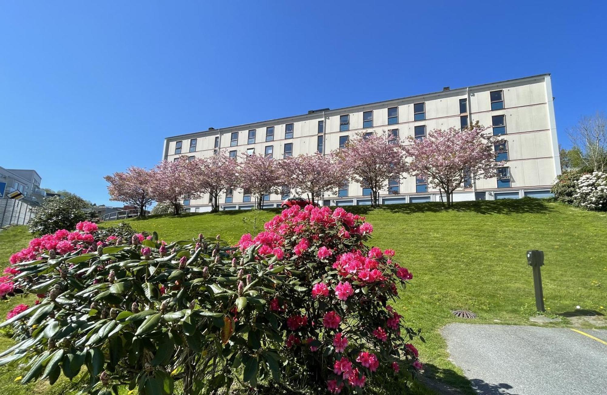 3 Sleeping Rooms For 82M2 Which Direct Traffic To Airport And City Center Bergen Exterior foto